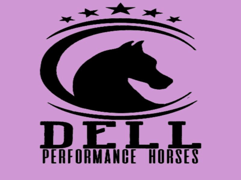 Dell Performance Horses