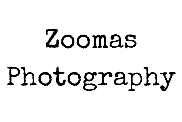 Zoomas Photography by Allison