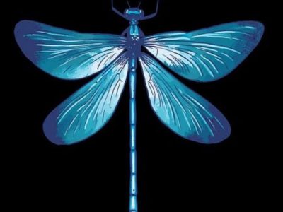 Blue Dragonfly Boutique