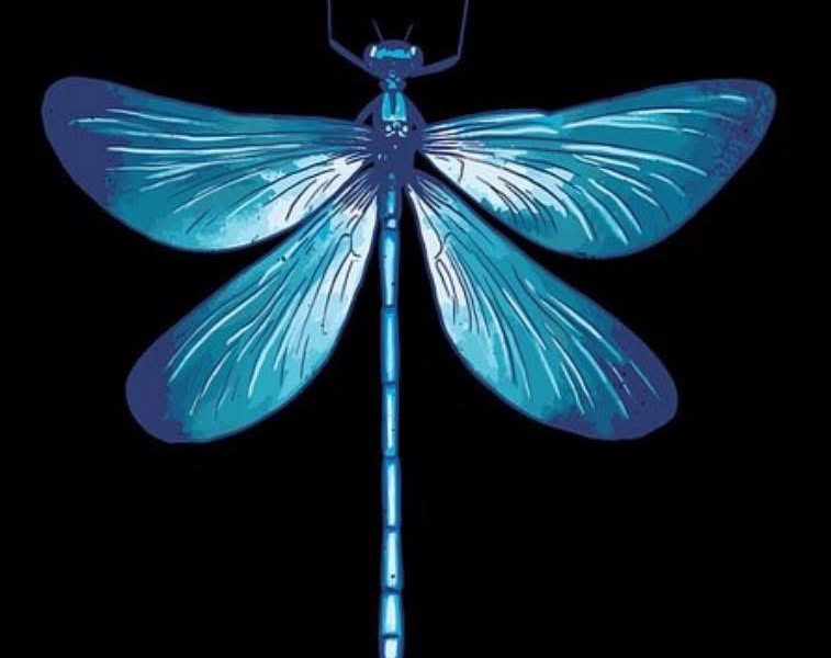 Blue Dragonfly Boutique